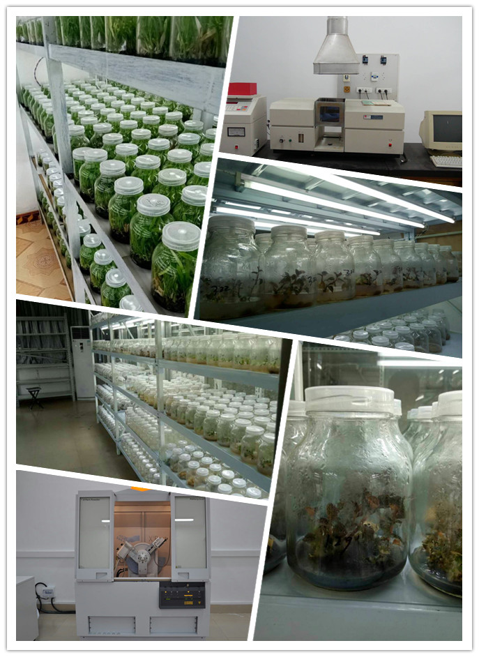 俄罗斯专享会294·VIP(中国区)官方网站