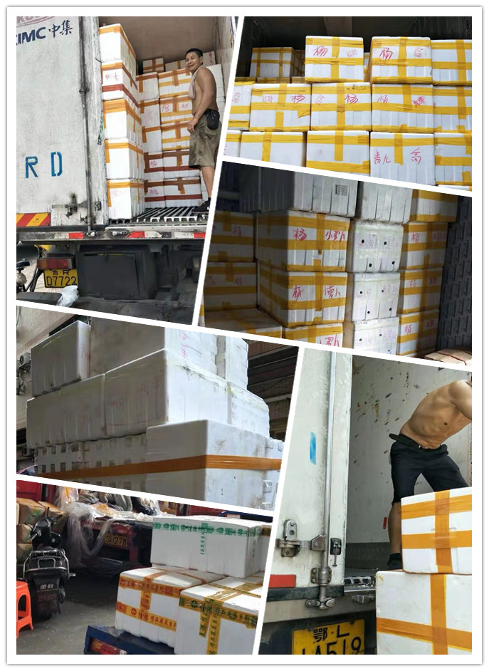 俄罗斯专享会294·VIP(中国区)官方网站