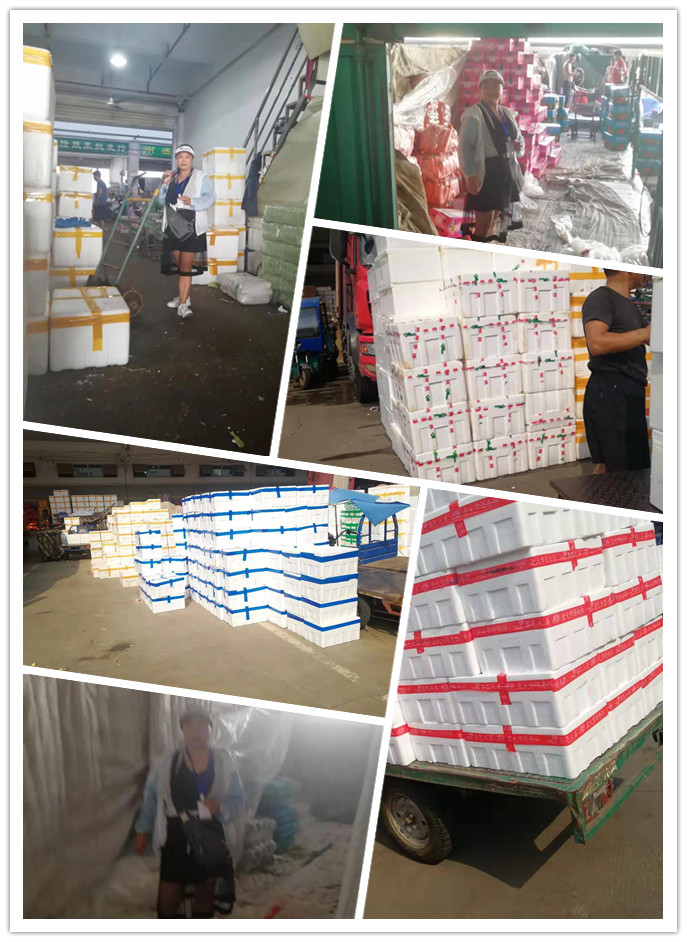 俄罗斯专享会294·VIP(中国区)官方网站