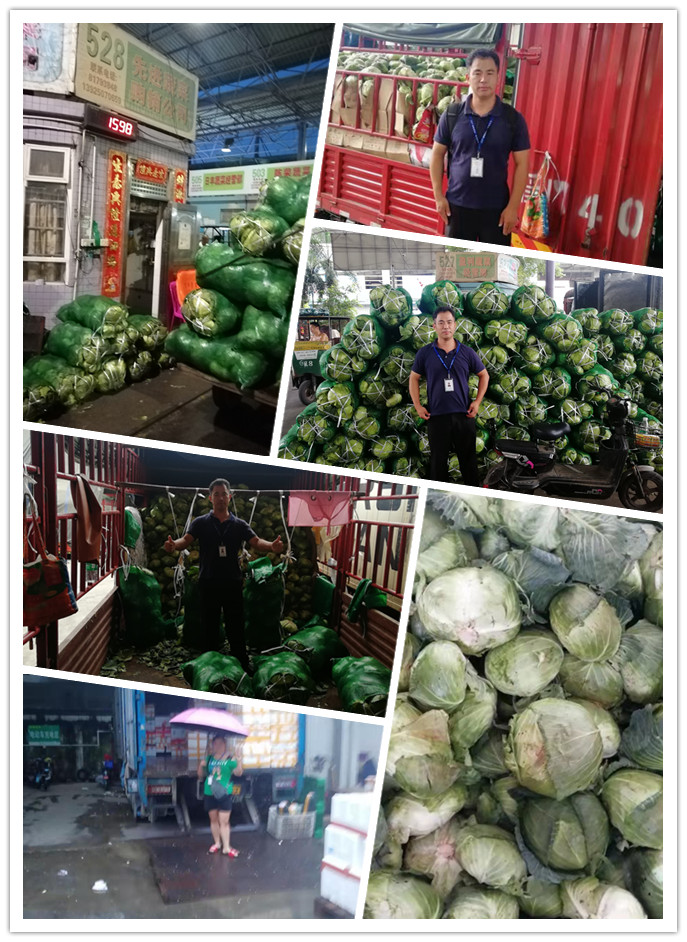 俄罗斯专享会294·VIP(中国区)官方网站