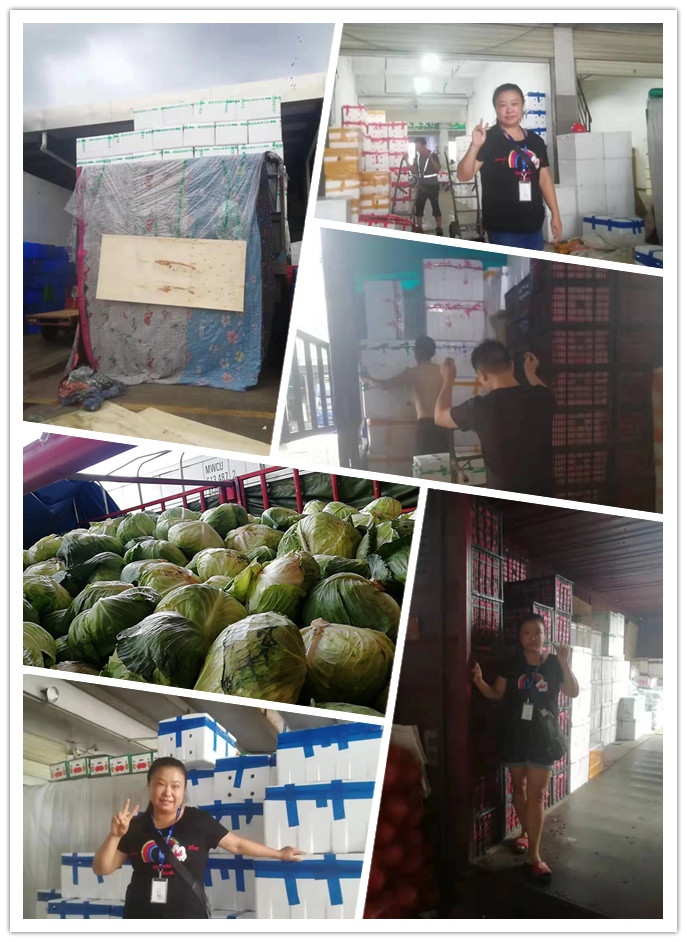 俄罗斯专享会294·VIP(中国区)官方网站