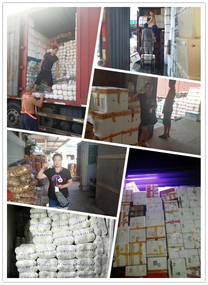 俄罗斯专享会294·VIP(中国区)官方网站