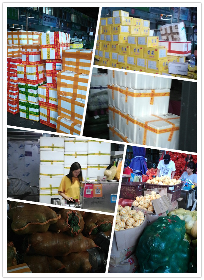 俄罗斯专享会294·VIP(中国区)官方网站