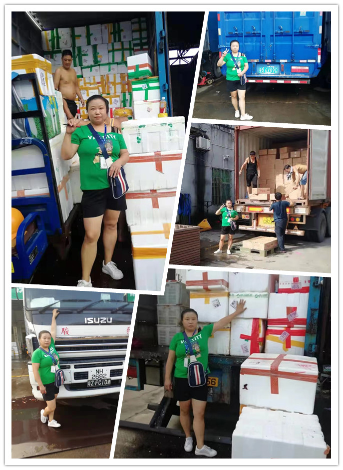 俄罗斯专享会294·VIP(中国区)官方网站