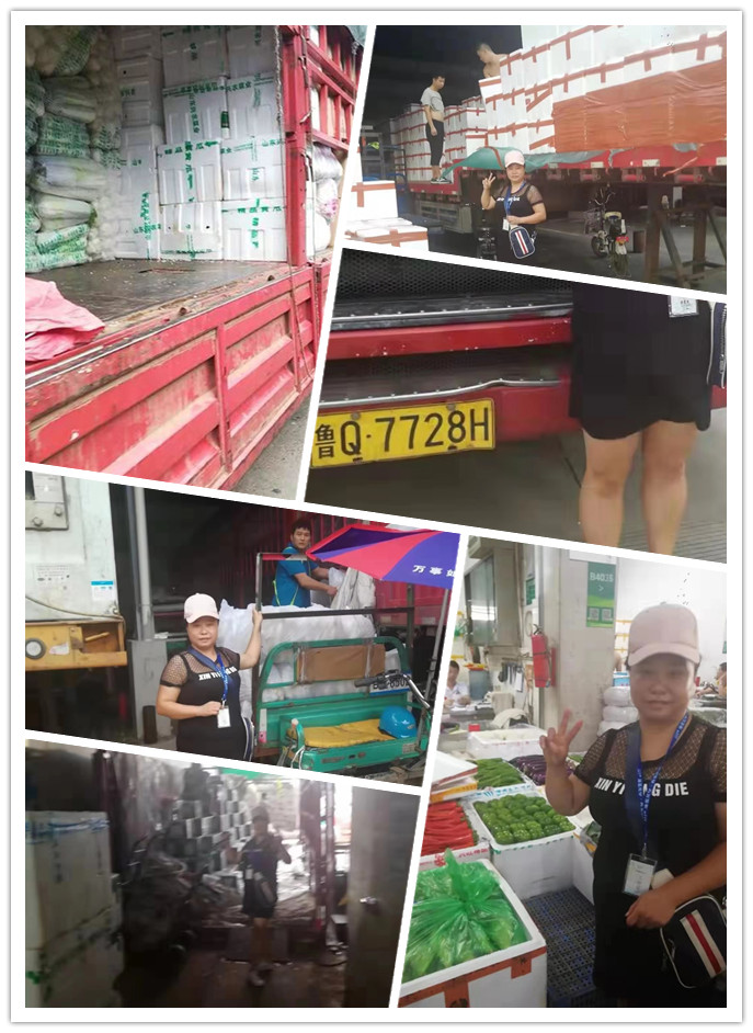 俄罗斯专享会294·VIP(中国区)官方网站