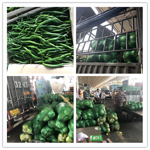 俄罗斯专享会294·VIP(中国区)官方网站