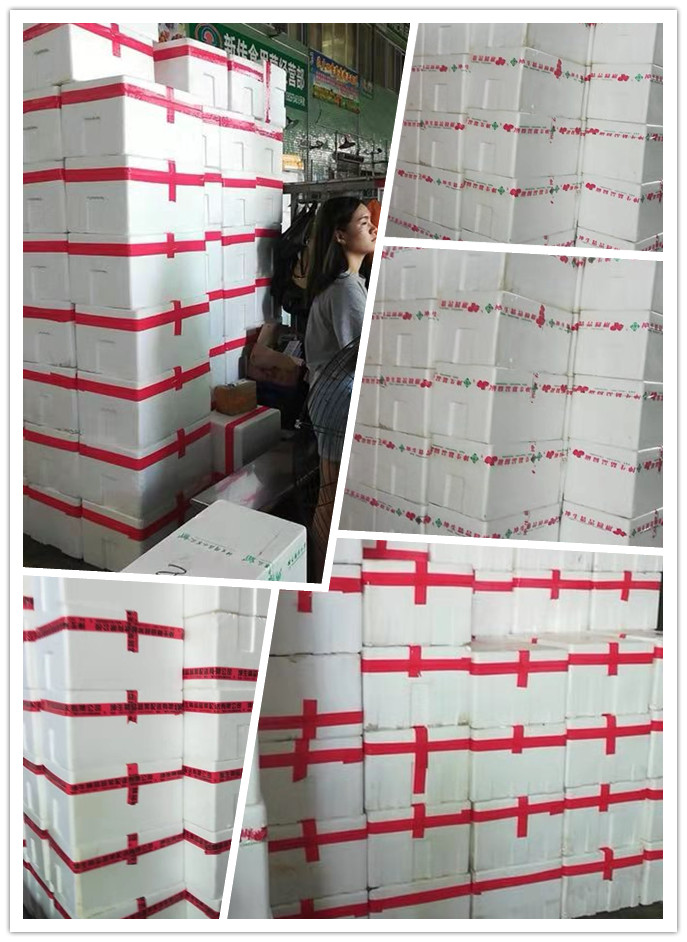 俄罗斯专享会294·VIP(中国区)官方网站