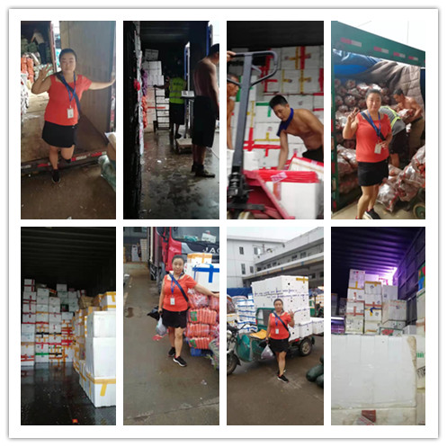 俄罗斯专享会294·VIP(中国区)官方网站