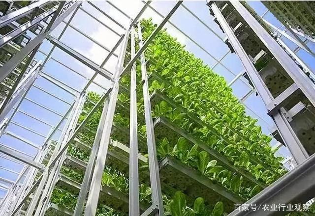 俄罗斯专享会294·VIP(中国区)官方网站