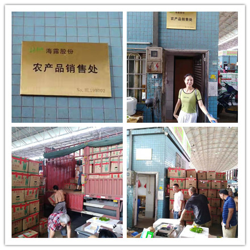 俄罗斯专享会294·VIP(中国区)官方网站