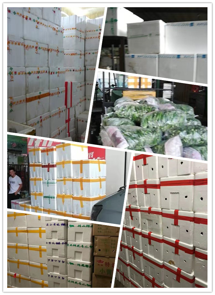 俄罗斯专享会294·VIP(中国区)官方网站