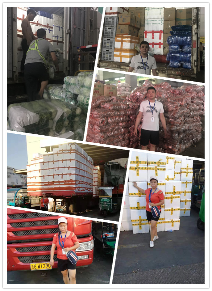 俄罗斯专享会294·VIP(中国区)官方网站