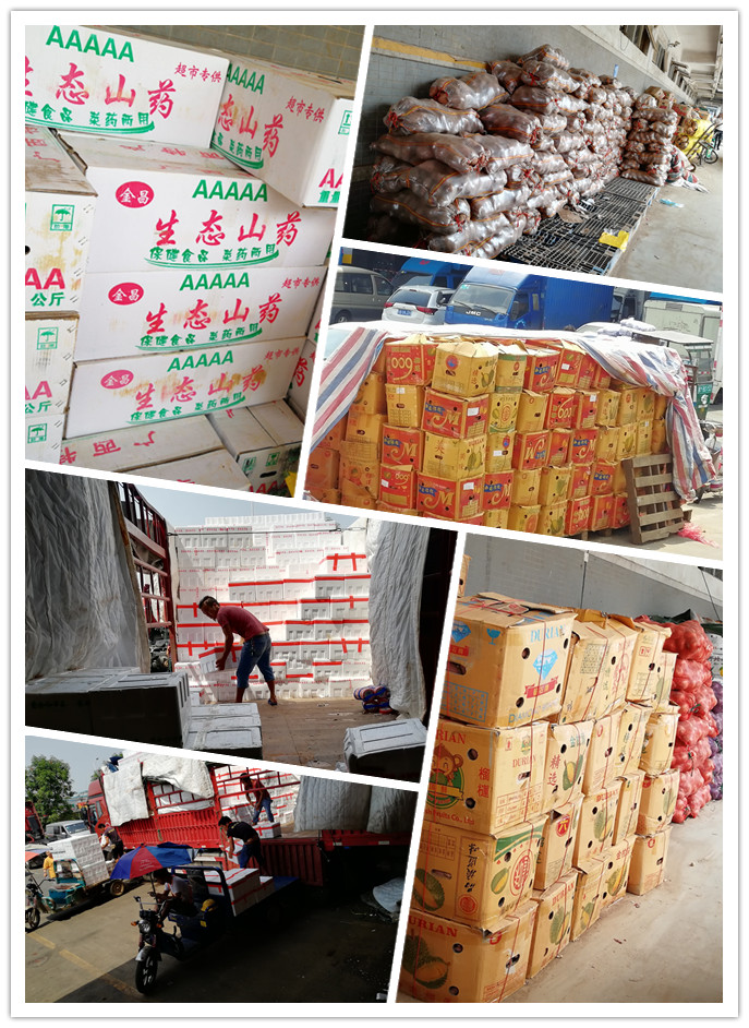 俄罗斯专享会294·VIP(中国区)官方网站