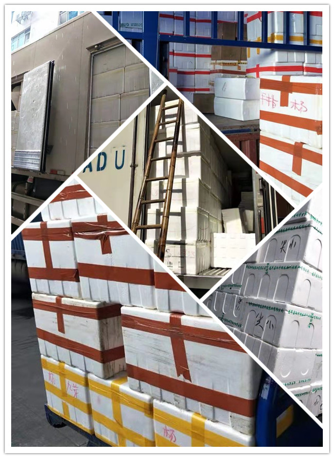 俄罗斯专享会294·VIP(中国区)官方网站