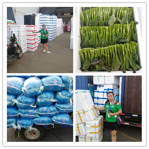 俄罗斯专享会294·VIP(中国区)官方网站