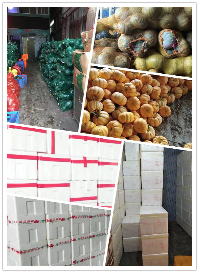 俄罗斯专享会294·VIP(中国区)官方网站