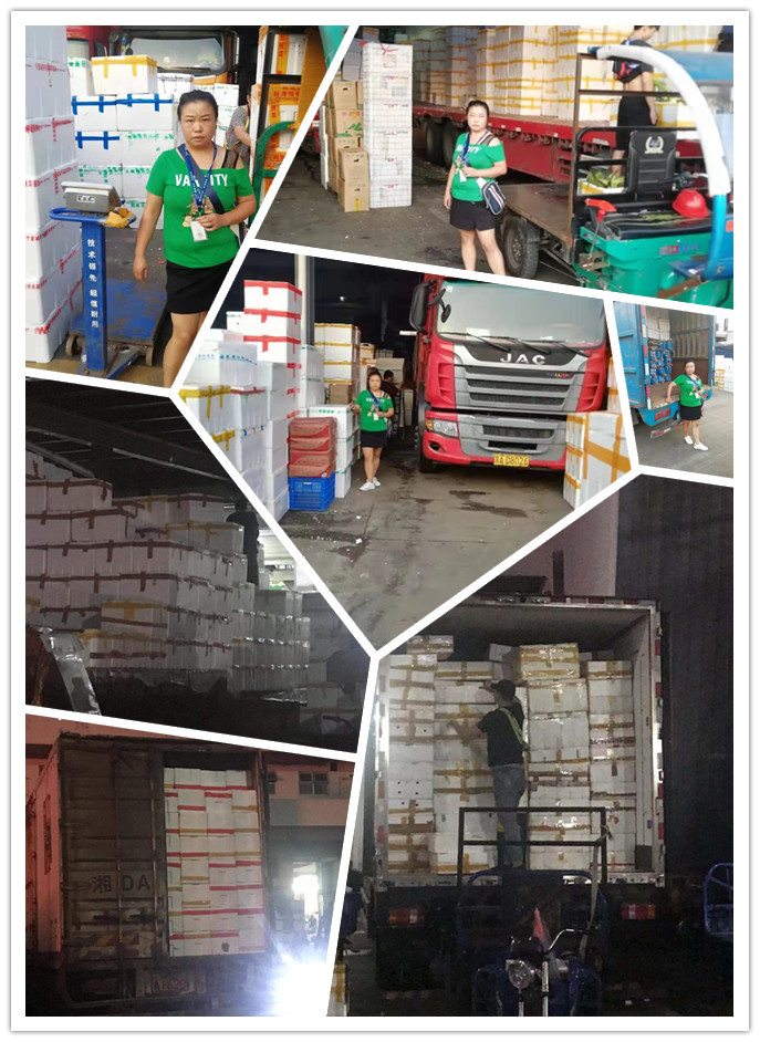 俄罗斯专享会294·VIP(中国区)官方网站