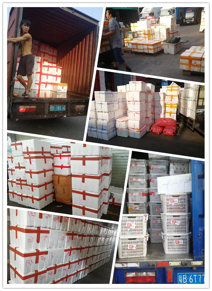 俄罗斯专享会294·VIP(中国区)官方网站