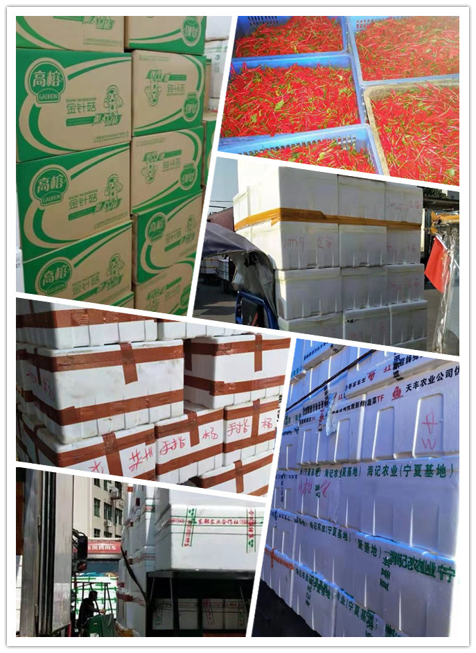 俄罗斯专享会294·VIP(中国区)官方网站