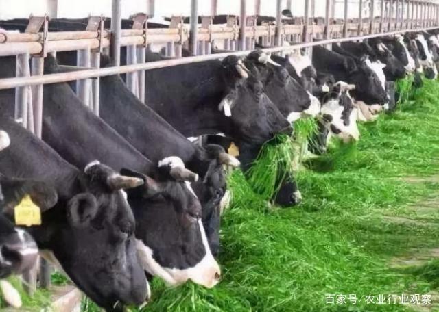 俄罗斯专享会294·VIP(中国区)官方网站