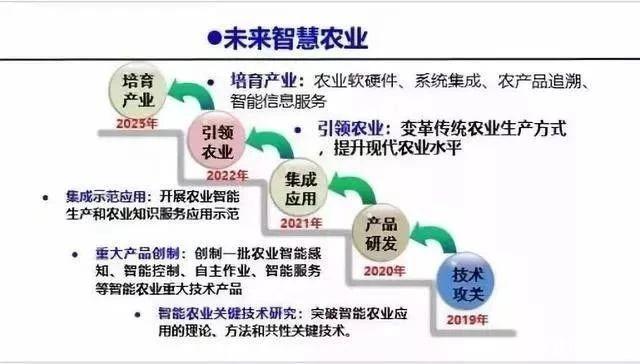 俄罗斯专享会294·VIP(中国区)官方网站