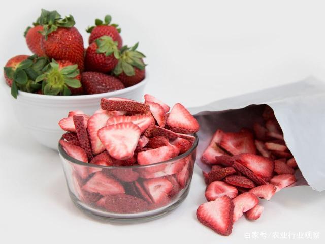 俄罗斯专享会294·VIP(中国区)官方网站