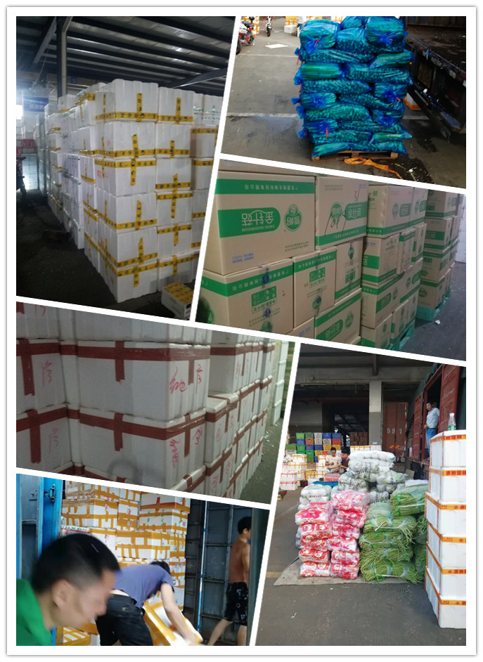 俄罗斯专享会294·VIP(中国区)官方网站