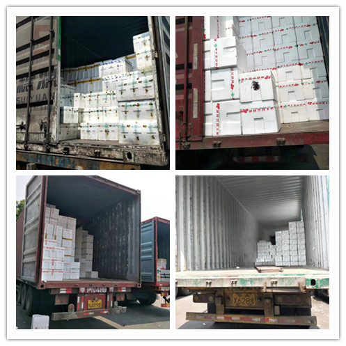 俄罗斯专享会294·VIP(中国区)官方网站