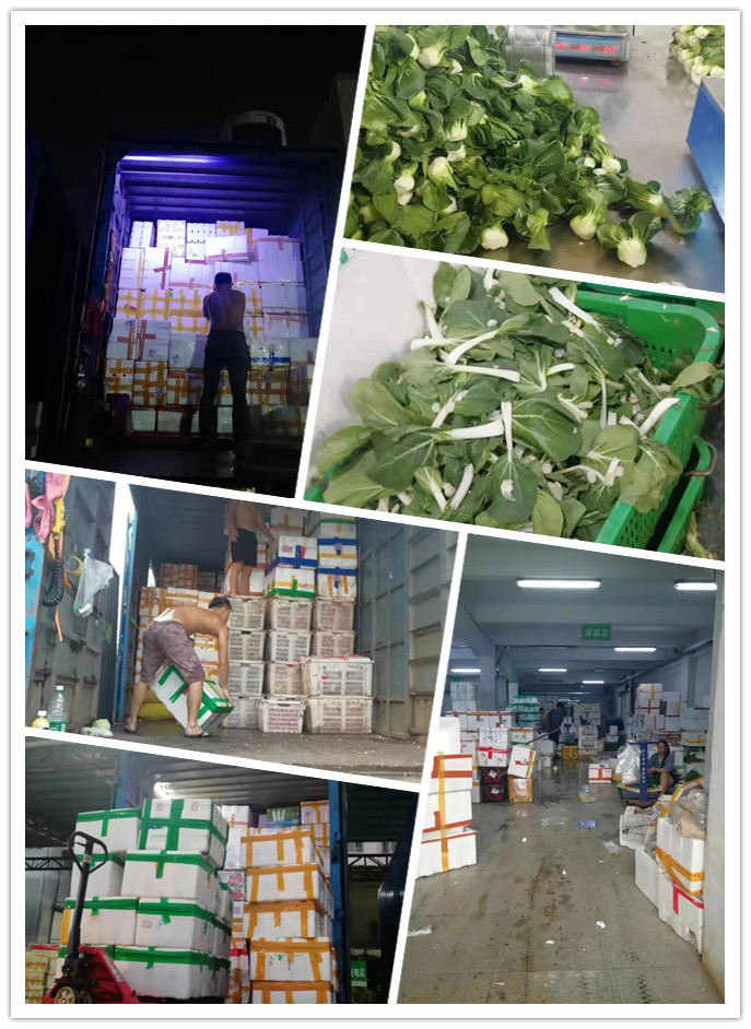 俄罗斯专享会294·VIP(中国区)官方网站