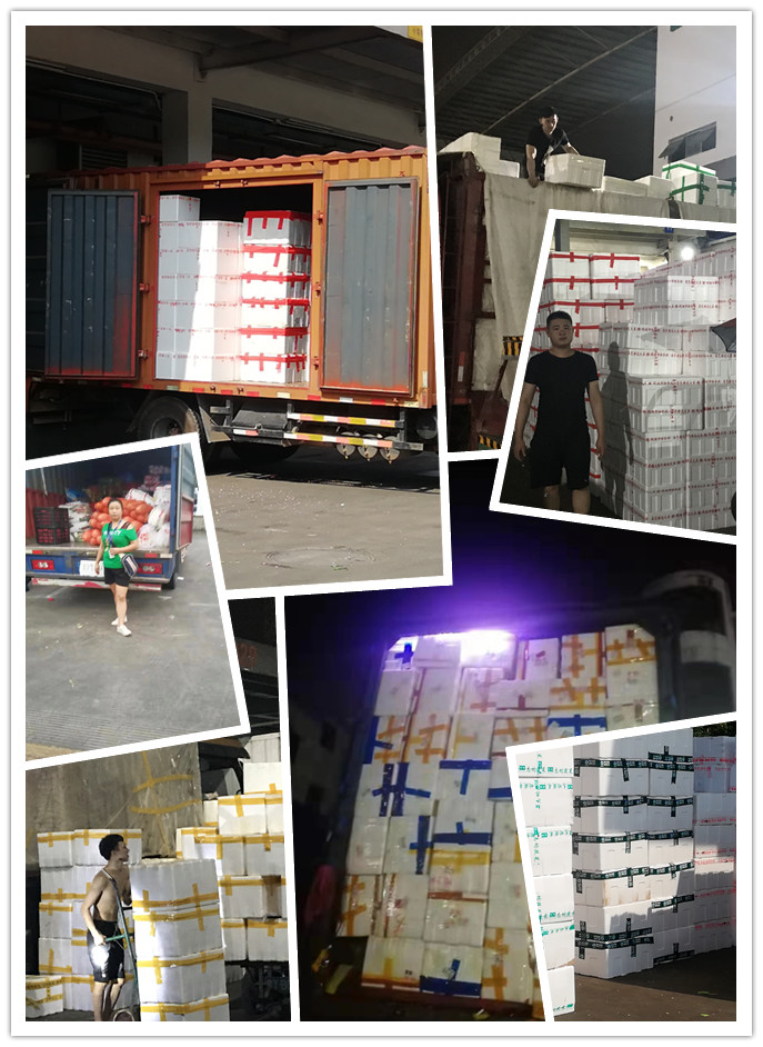 俄罗斯专享会294·VIP(中国区)官方网站