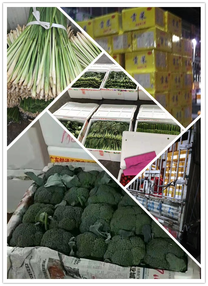 俄罗斯专享会294·VIP(中国区)官方网站