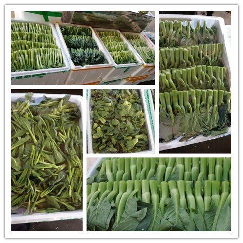 俄罗斯专享会294·VIP(中国区)官方网站