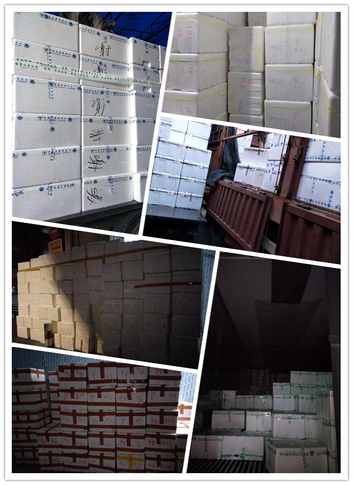 俄罗斯专享会294·VIP(中国区)官方网站