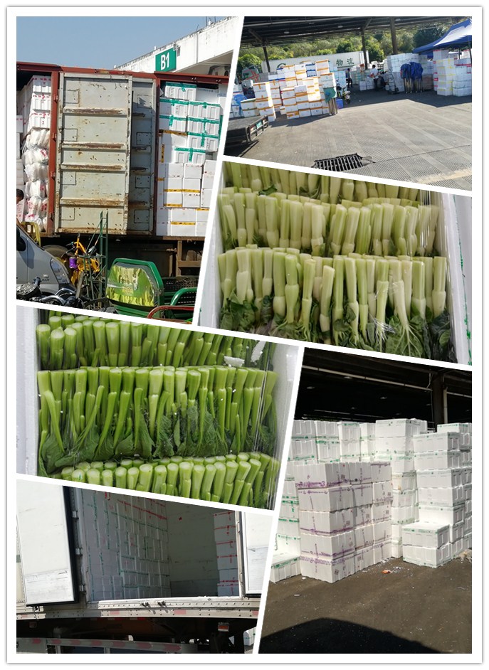 俄罗斯专享会294·VIP(中国区)官方网站