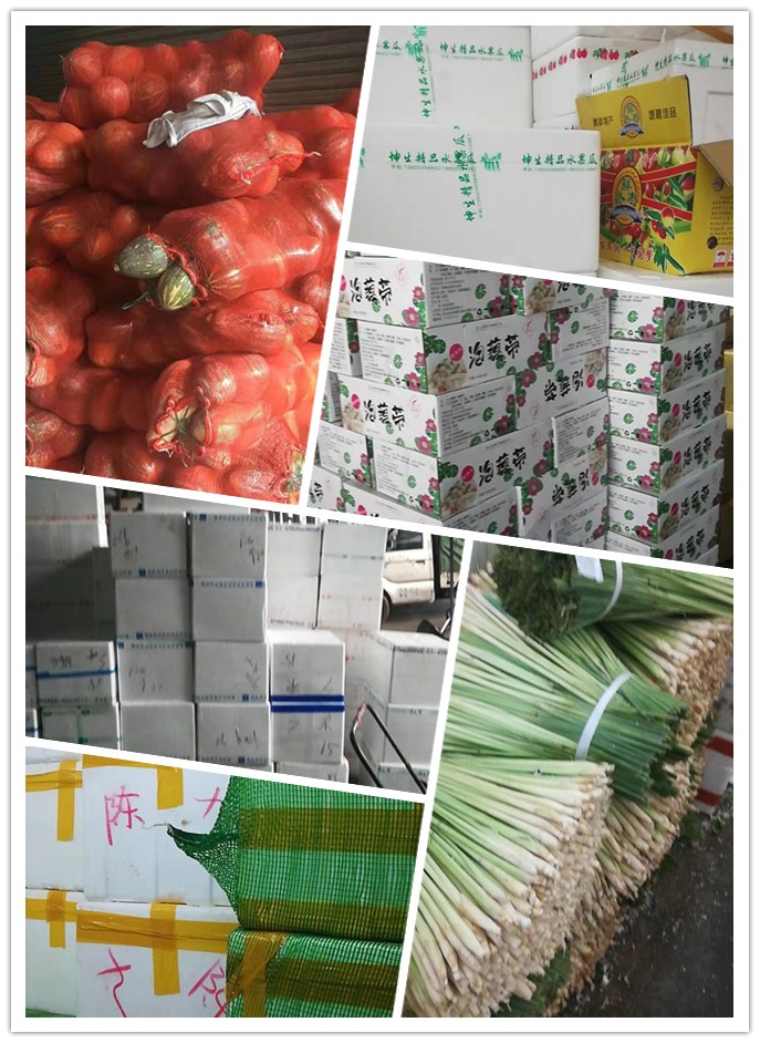 俄罗斯专享会294·VIP(中国区)官方网站