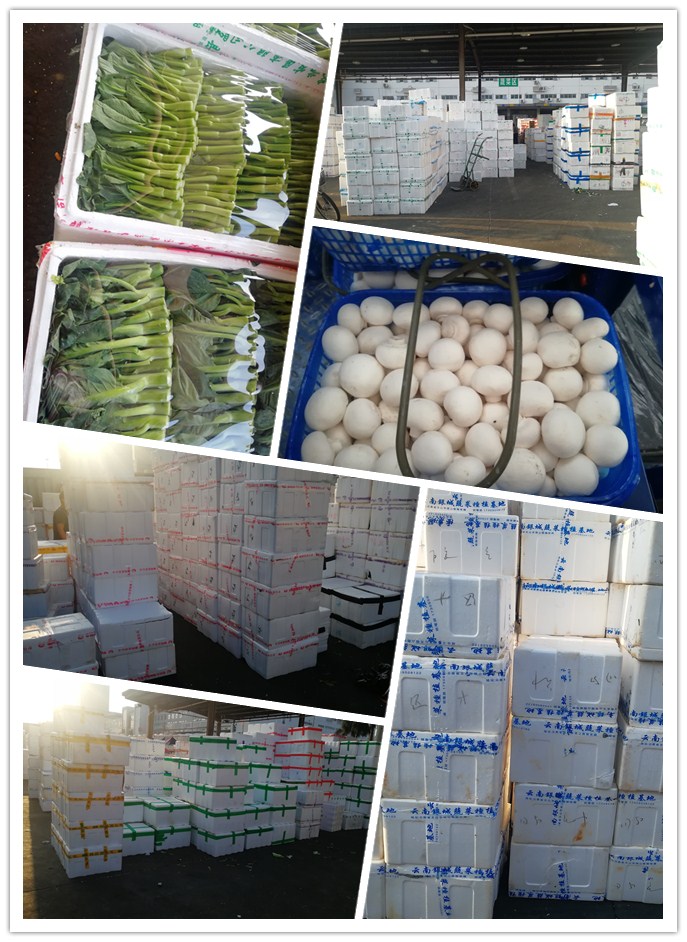 俄罗斯专享会294·VIP(中国区)官方网站