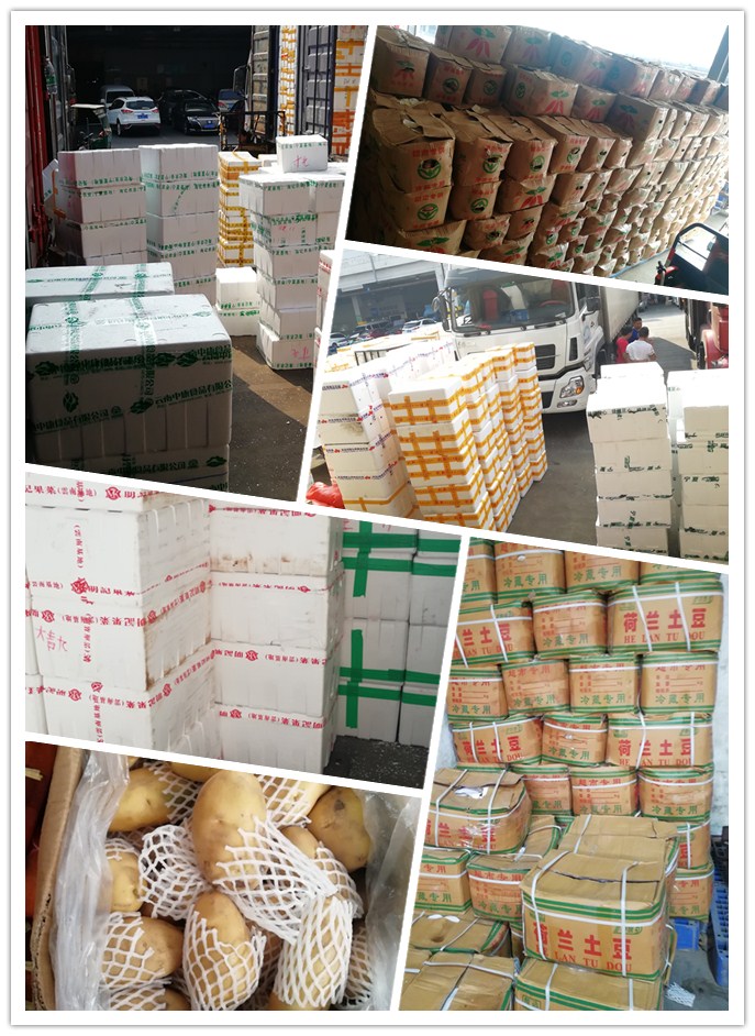 俄罗斯专享会294·VIP(中国区)官方网站