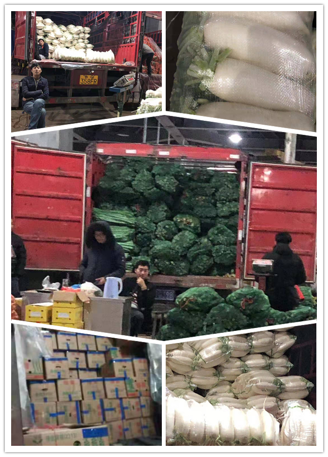 俄罗斯专享会294·VIP(中国区)官方网站