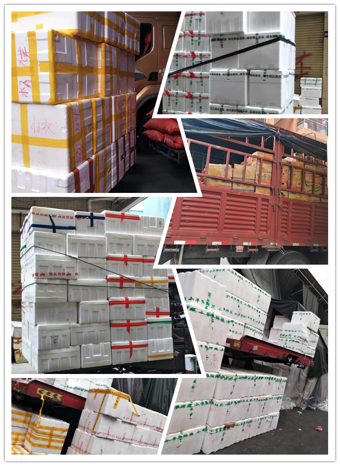 俄罗斯专享会294·VIP(中国区)官方网站