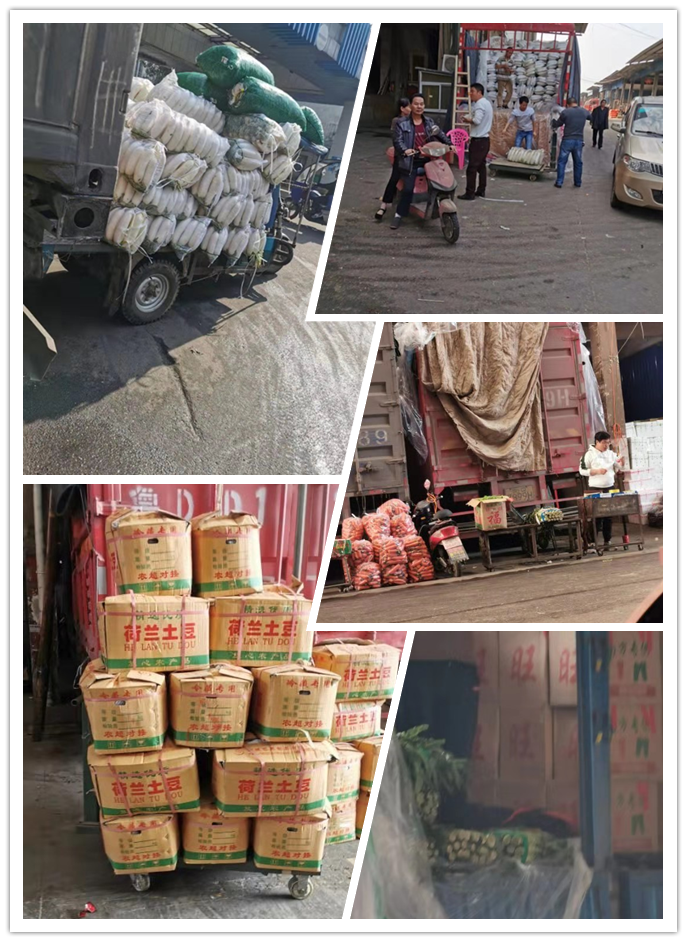 俄罗斯专享会294·VIP(中国区)官方网站