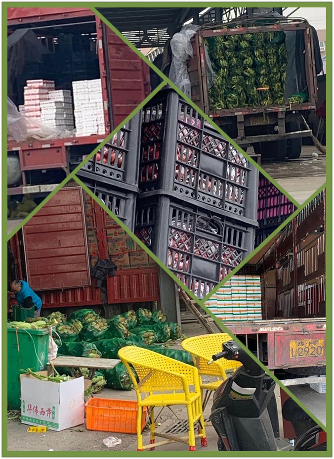 俄罗斯专享会294·VIP(中国区)官方网站