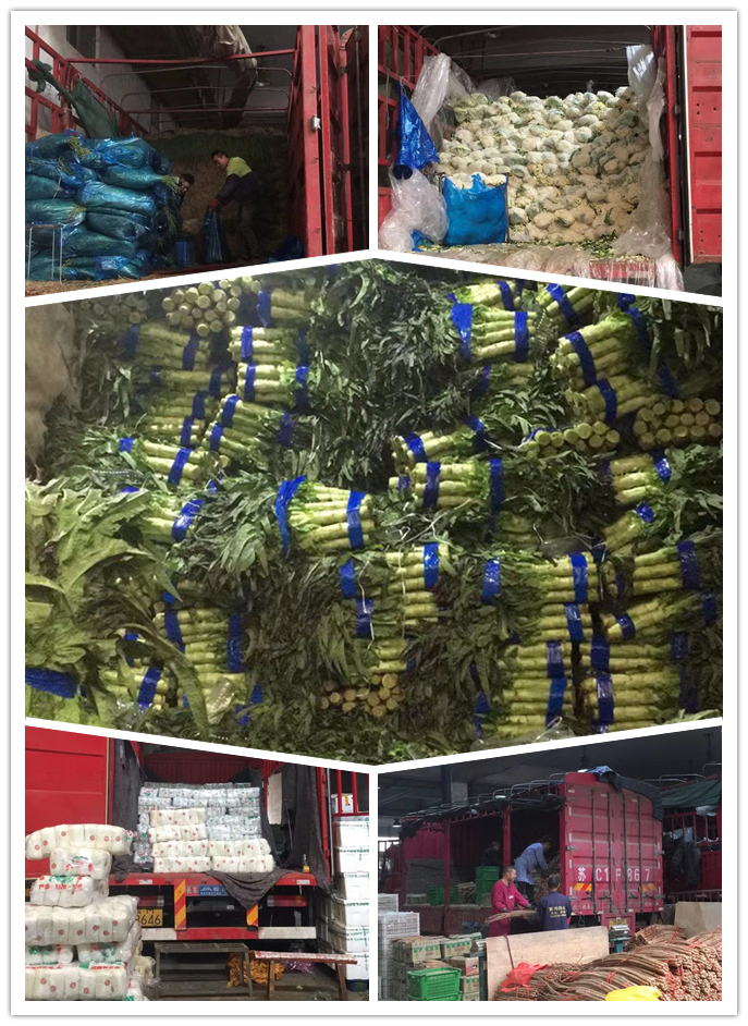 俄罗斯专享会294·VIP(中国区)官方网站