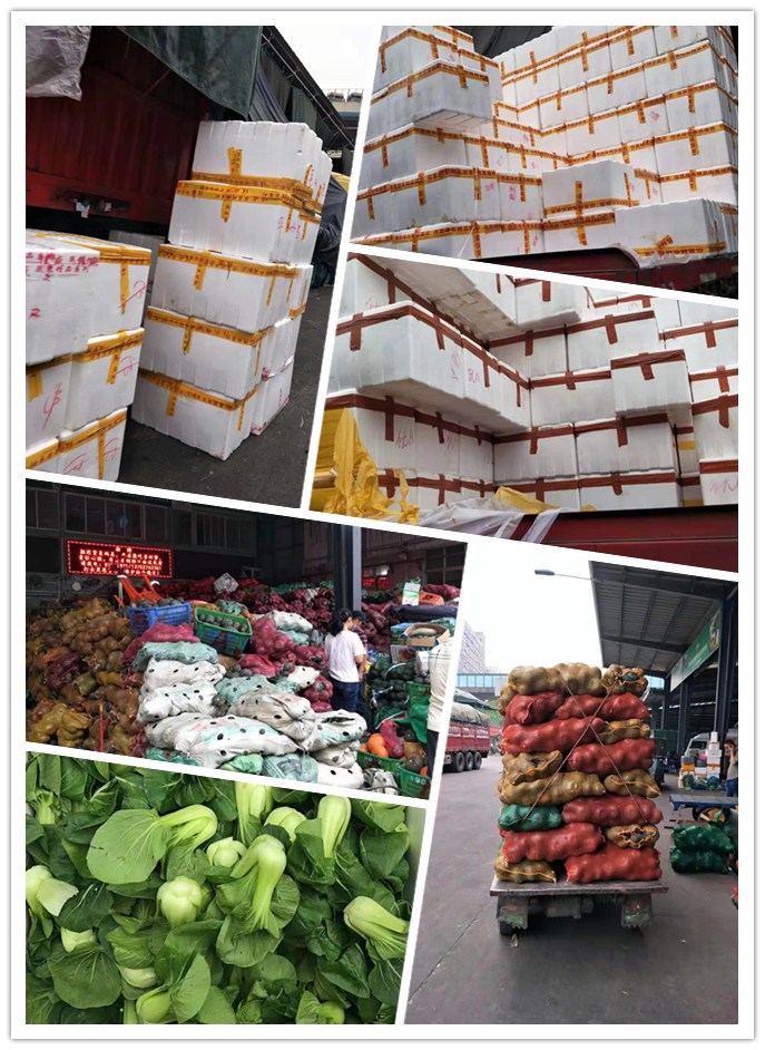 俄罗斯专享会294·VIP(中国区)官方网站