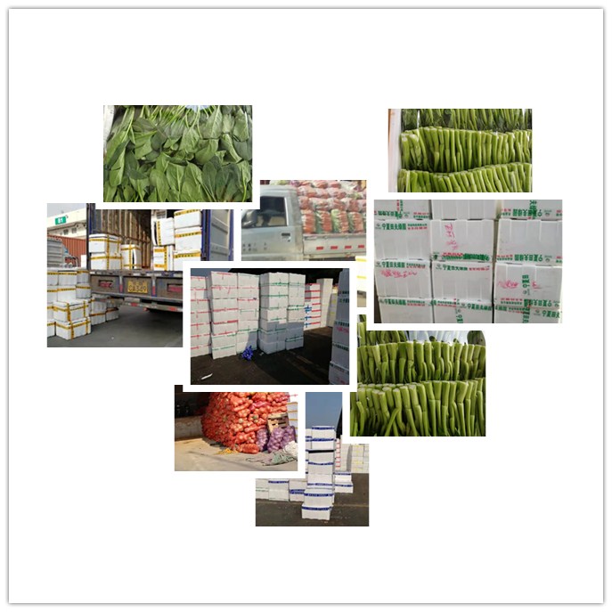 俄罗斯专享会294·VIP(中国区)官方网站