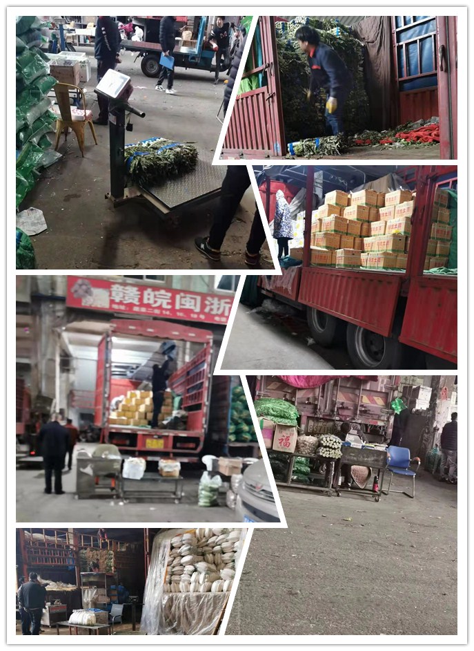 俄罗斯专享会294·VIP(中国区)官方网站