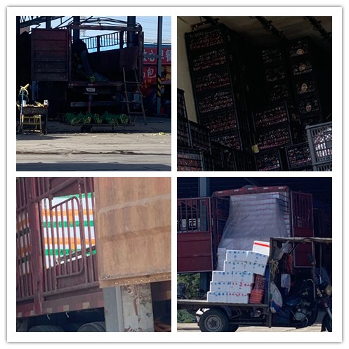 俄罗斯专享会294·VIP(中国区)官方网站