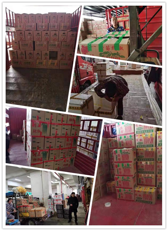 俄罗斯专享会294·VIP(中国区)官方网站