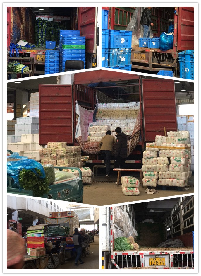 俄罗斯专享会294·VIP(中国区)官方网站