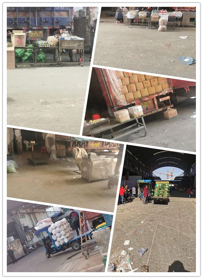 俄罗斯专享会294·VIP(中国区)官方网站