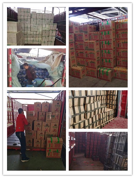 俄罗斯专享会294·VIP(中国区)官方网站